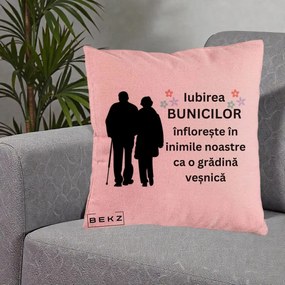 Cadou pentru Bunici - Perna Personalizata Bunicii Iubirea Infloreste Silueta Neagra Flori, 40x40 cm, Roz, Husa Detasabila, Perna Inclusa, BEKZ®
