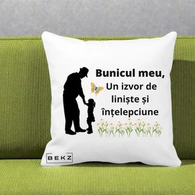 Cadou pentru Bunic - Perna Personalizata Bunicul Meu Izvor de Liniste cu Fluture si Fetita, 40x40 cm, Alba Mata, Husa Detasabila, Perna Inclusa, BEKZ®