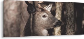 Tablou - Cerb în pădure (120x50 cm)