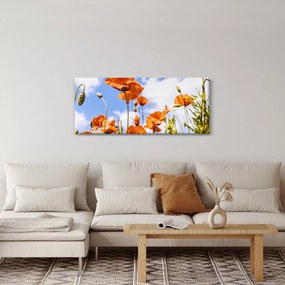 Tablou cu macii (120x50 cm)