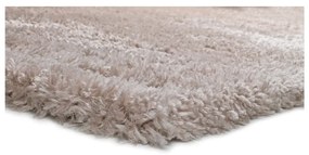 Covor Universal Aloe, 120 x 170 cm, bej