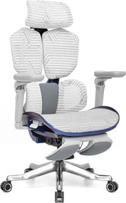 Scaun Ergonomic Premium AirMesh Elite X6D – Cotiere 6D, Suport Lombar Reglabil, Tetieră 4D, Sezut Translatie, Reclinare, Suport Picioare, Mesh, Gri/Colorful