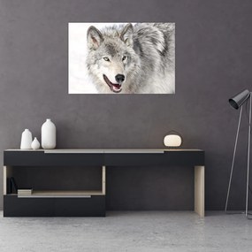 Tablou - Lupul în natură (90x60 cm)