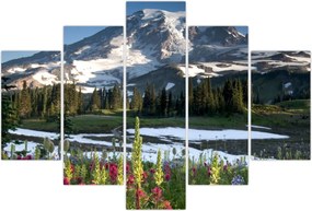 Tablou - Muntele Rainier (150x105 cm)