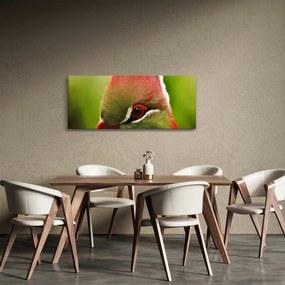 Tablou cu pasărea colorată (120x50 cm)
