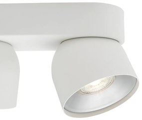Spot aplicat tavan directionabil Pitcher 2L alb
