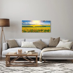 Tablou - Câmp cu floarea soarelui (120x50 cm)