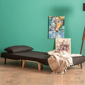 Fotoliu Extensibil,reglabil, Folde, 180 x 80 cm,gri