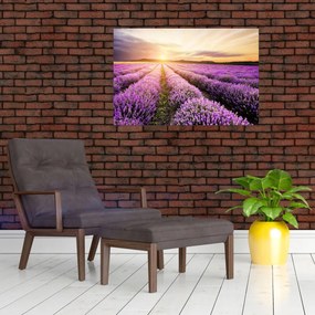 Tablou - Răsărit de soare în câmp de lavandă (90x60 cm)