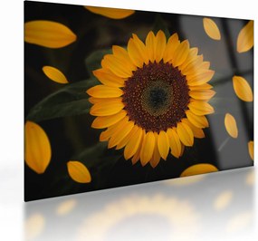 Tablou pe sticlă - Floarea soarelui și petale (70x50 cm)