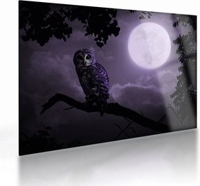 Tablou pe sticlă - Bufniță de noapte, violet (70x50 cm)