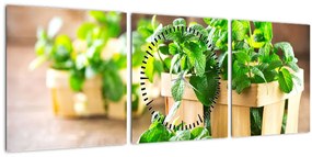 Tablou cu menta proaspătă (cu ceas) (90x30 cm)