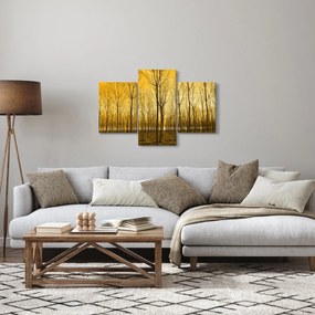 Tablou cu pădure în apus de soare (90x60 cm)