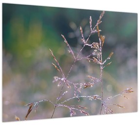 Tablou - Detaliu timp (70x50 cm)