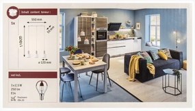 Lustră pe cablu 3xE14/20W NEORDIC HALDAR 230V Paulmann 79657