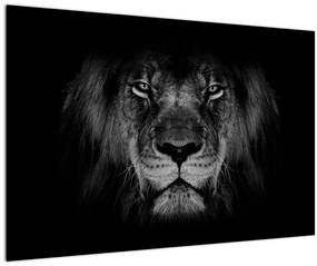 Tablou - Leu majestic (90x60 cm)