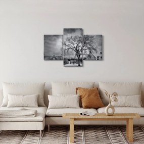 Tablou cu sat alb negru (90x60 cm)