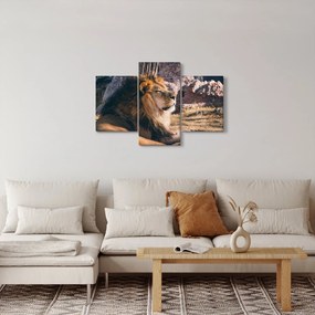 Tablou cu leul dormind (90x60 cm)