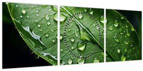 Tablou - Frunză după ploaie (cu ceas) (90x30 cm)