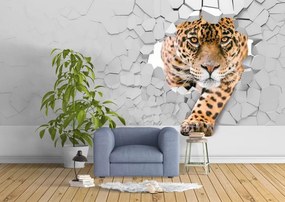 Fototapet 3D. Leopard Spargand Peretele. Art.030184