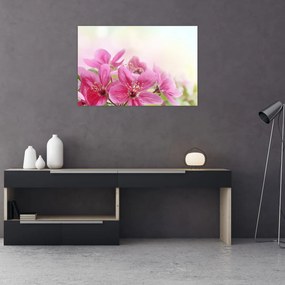 Tablou - Flori roz (90x60 cm)