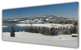 Tablouri acrilice Snow Lake Peisaj Forestier Albastru Alb Verde