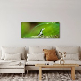 Tablou cu șopârlă (120x50 cm)