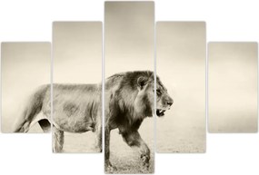 Tablou - Leul flămând (150x105 cm)