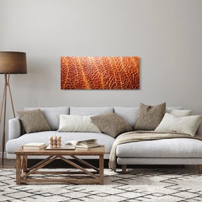 Tablou - Detaliu de textură (120x50 cm)