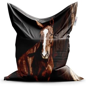 Sac de șezut Classic cal în grajd - pentru copii, maro / negru