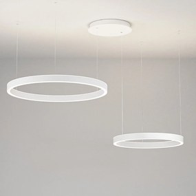 Lustra LED circulara cu 2 inele 80/60cm CRISEIDE, alb, negru sau auriu