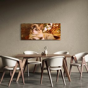 Tablou cu pisica în ghiveci (120x50 cm)