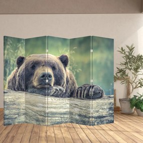 Paravan - Urs (210x170 cm)