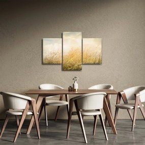 Tablou - Câmp toamna (90x60 cm)