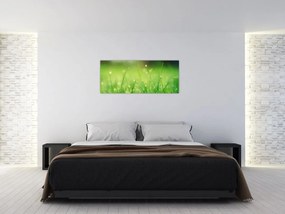 Tablou - roua pe iarbă (120x50 cm)