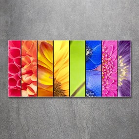 Tablou acrilic Flori colorate