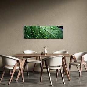 Tablou - Detaliu de frunze după ploaie (cu ceas) (90x30 cm)