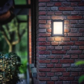 Aplică de exterior Philips 17293/93/16 KARP 1xLED/6W/230V IP44