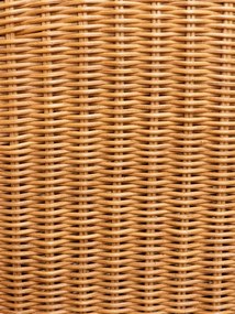 Fotoliu din rattan cu perna de sezut, "Tanéa"