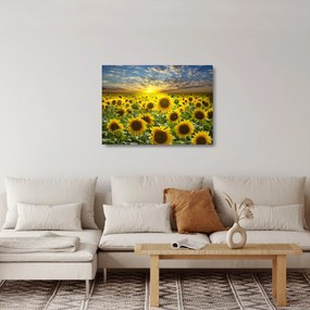 Tablou pe sticlă - Floarea-soarelui la apus de soare (70x50 cm)