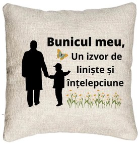 Perna Decorativa Canapea pentru Bunicul 6, 40x40 cm, Cu fermoar