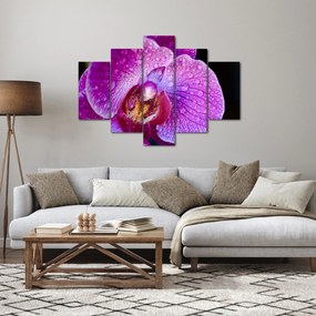 Tablou detailat cu floare de orhidee (150x105 cm)