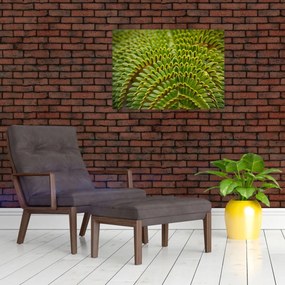Tablou pe sticlă - Fern (70x50 cm)