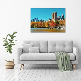 Tablou pe pânză canvas New york, în toamna