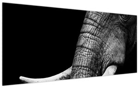 Tablou - Colți de elefant (120x50 cm)