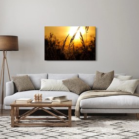 Tablou - Apus de soare (90x60 cm)