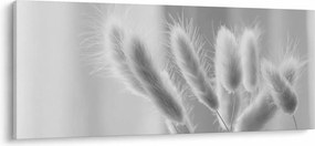 Tablou - Iarbă de coadă de iepure (120x50 cm)