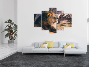 Tablou cu leul dormind (150x105 cm)