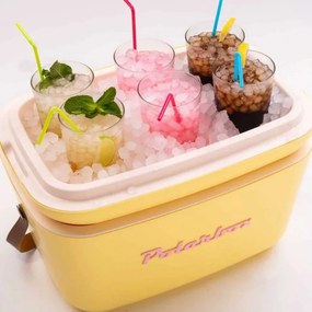 Geanta frigorifica Polarbox Pop, 20 litri, Polistiren AIRPOP, 5-15°C pana l a24h, Violet/Portocaliu