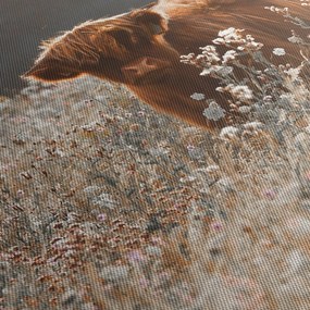 Tablou - Vacă scoțiană (120x50 cm)